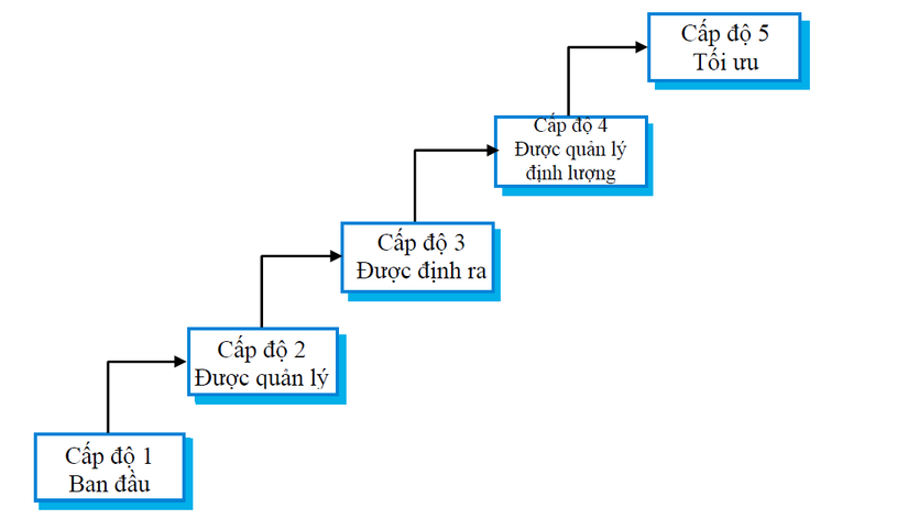 Cấu trúc của CMM