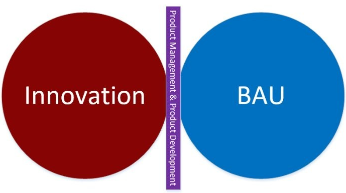 Innovation Vs Business as Usual