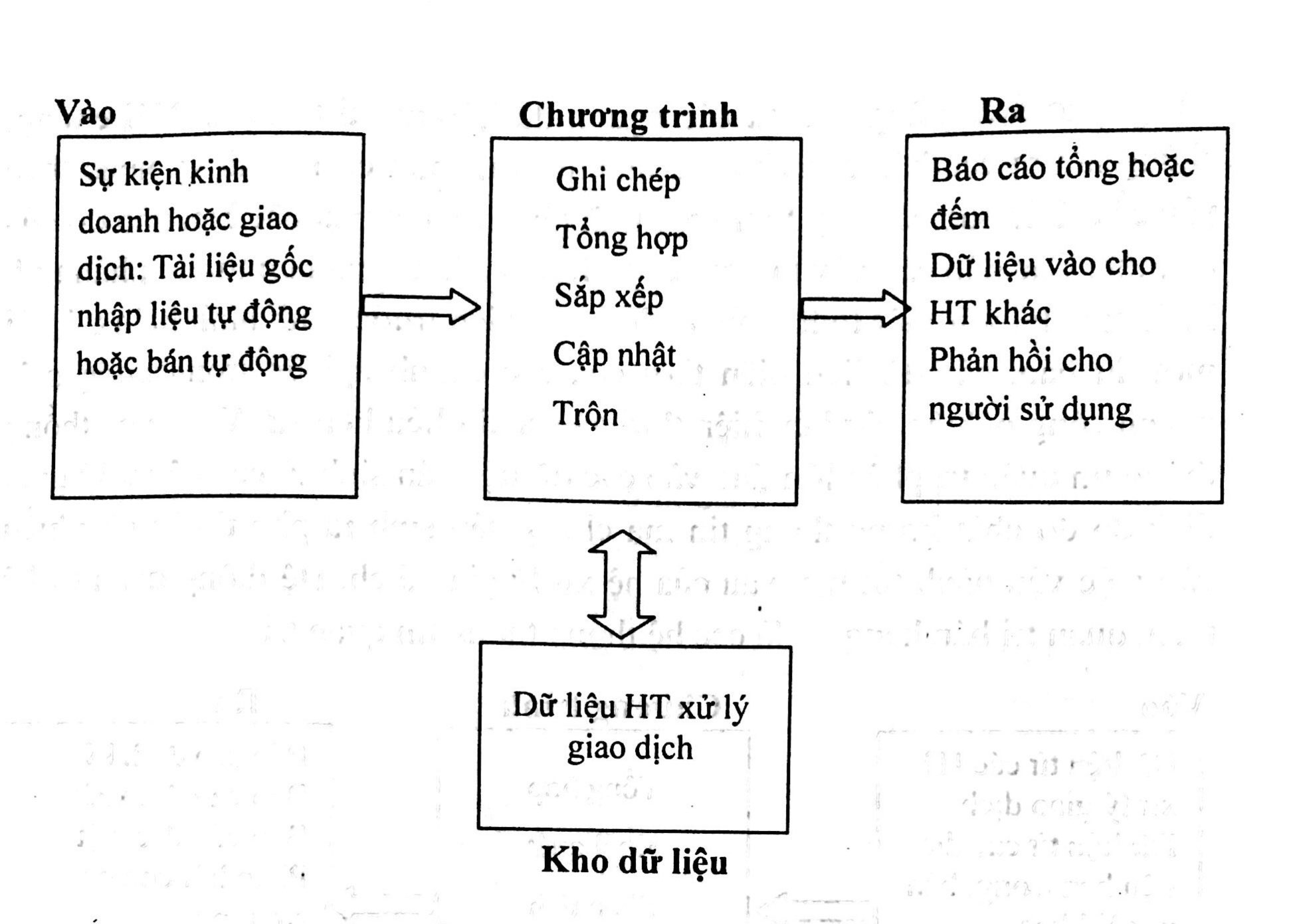 Sơ đồ hệ thống thông tin xử lí giao dịch. Nguồn: Giáo trình Quản trị kinh doanh, NXB Đại học Kinh tế Quốc dân