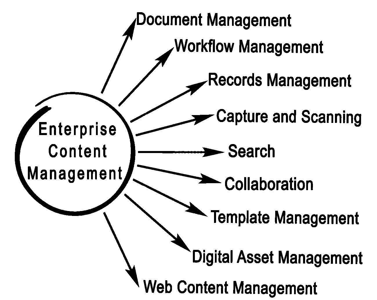 Đa dạng các phân hệ của ECM