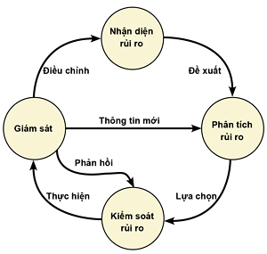 Quy trình cơ bản quản lý rủi ro