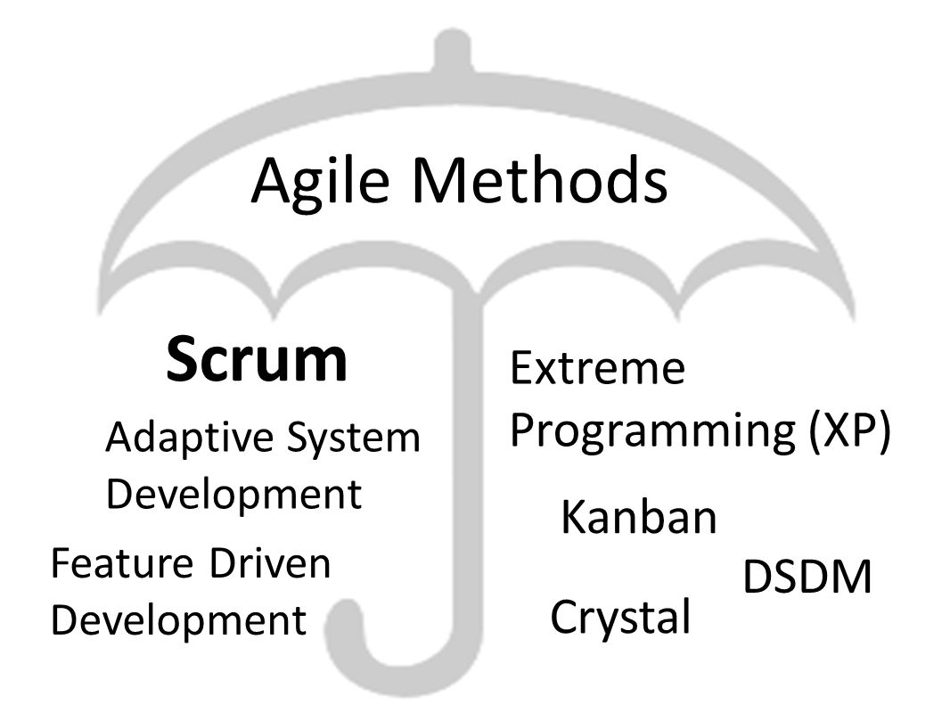 Crystal là một giải pháp Agile