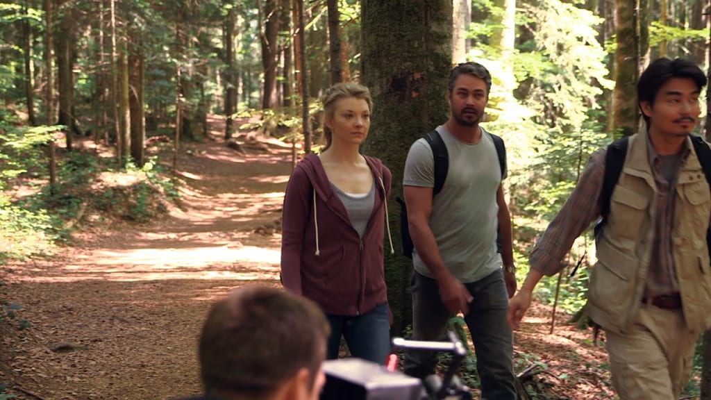 lost in the forest