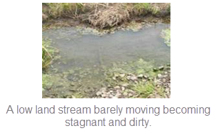Low land stream