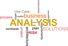 Business Analyst 