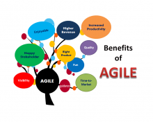 What Agile Software Development Team Structure Looks Like