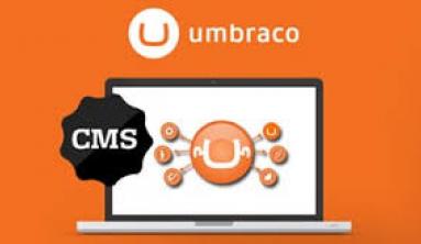 UmbracoCMS