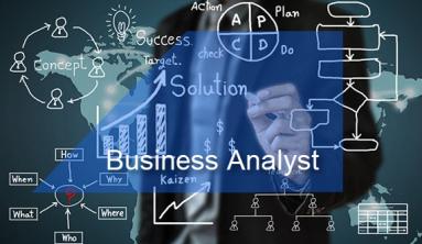 Business Analyst
