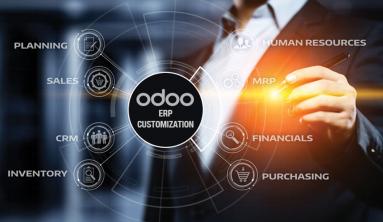 Odoo has had a lot of benefits that other software lacked, including access to a dedicated community as well as powerful customizability for individual business needs. 