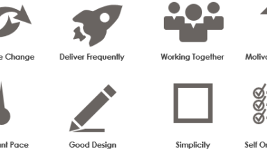 [INFOGRAPHIC] The 12 Agile Principles
