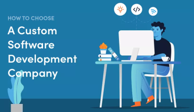 How to Choose a Software Development Partner?