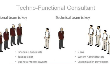 What is the Techno Functional Consultant?
