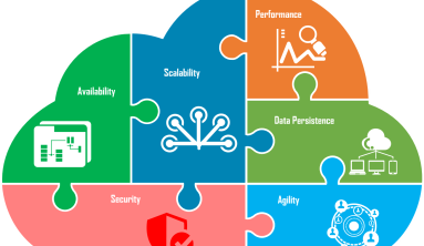 Software Business and Development Insights