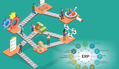 ERP vs Non-ERP Systems