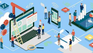 Lessons Learned from Software Projects